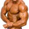 Tom yam